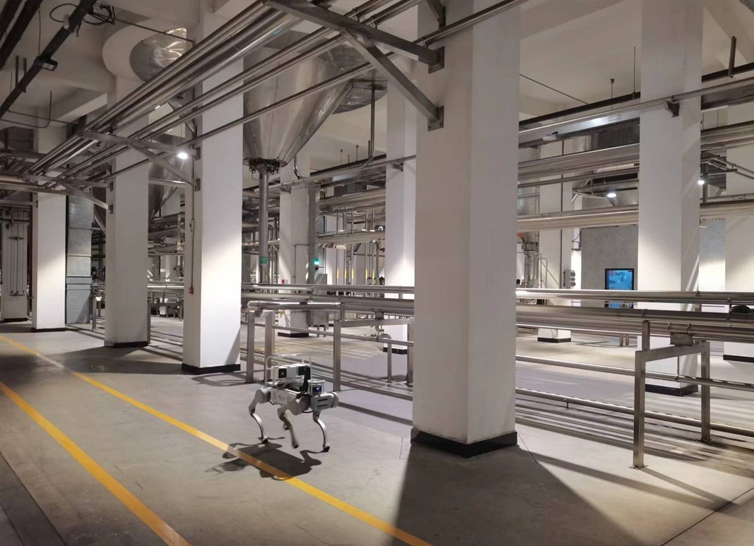 X20 quadruped robot dog